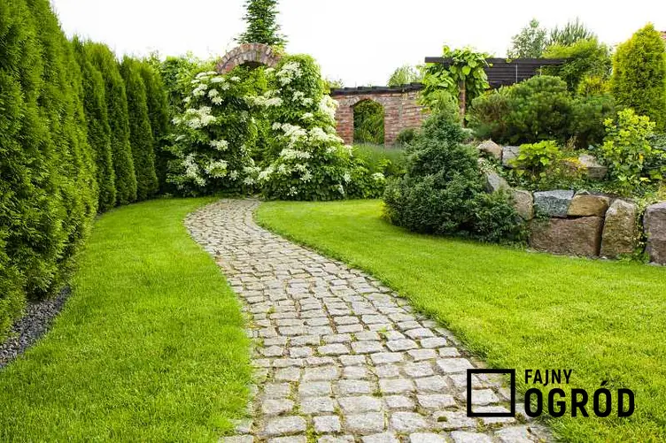 Ścieżka w ogrodzie wyłożona kostką brukową, a także jak wykonać ścieżki w ogrodzie krok po kroku z różnych materiałów