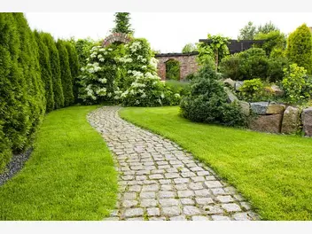 Ilustracja artykułu ścieżki w ogrodzie – jak je wykonać tanio i dobrze