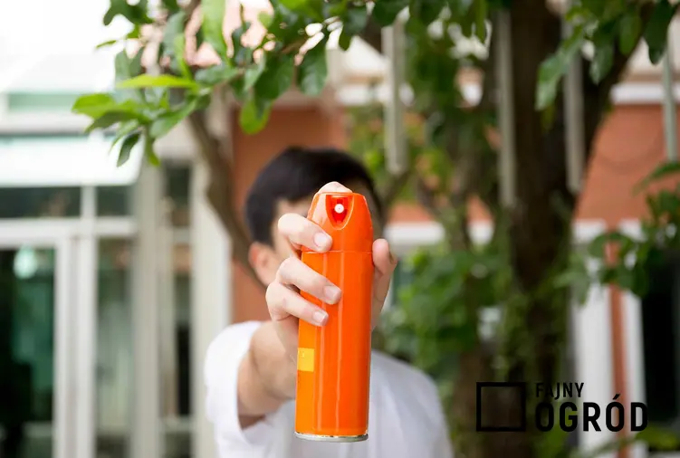 Odstraszanie muszek owocówek z wykorzystaniem sprayu na owady w butelce z atomizerem przez małego chłopca stojącego przed domem