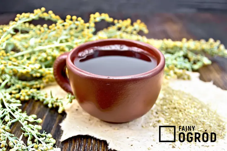 Herbata z piołunu o właściwościach leczniczych w dużej brązowej filiżance obok gałązek piołunu i kwiatów