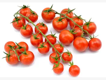 Ilustracja artykułu jak samodzielnie uprawiać pomidory koktajlowe w domu czy na balkonie?