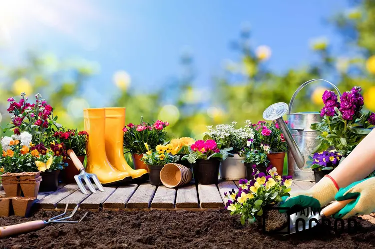Usługi ogrodnicze zaczynają się od prac przygotowawczych i samego zakładania ogrodu, czyli sadzenia roślin i zorganizowanie rabat. Cennik zakładania ogrodu jest zróżnicowany w różnych miastach w Polsce.