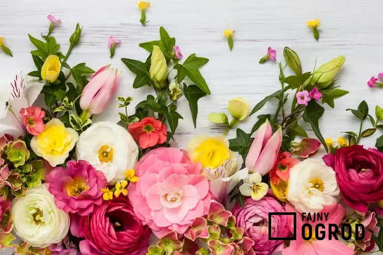 Kompozycja kwiatów różówych na stole, a także inne kompozycje kwiatowe - najlepsze sposoby na piekne i udane bukiety i kompozycje do dekoracji