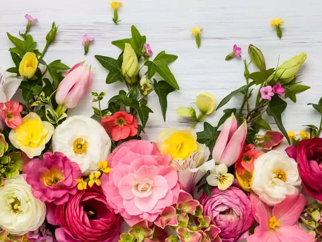 Sprawdzone porady na kompozycje kwiatowe