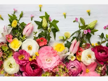Ilustracja artykułu najpiękniejsze kompozycje kwiatowe - 5 sprawdzonych porad, jak je tworzyć