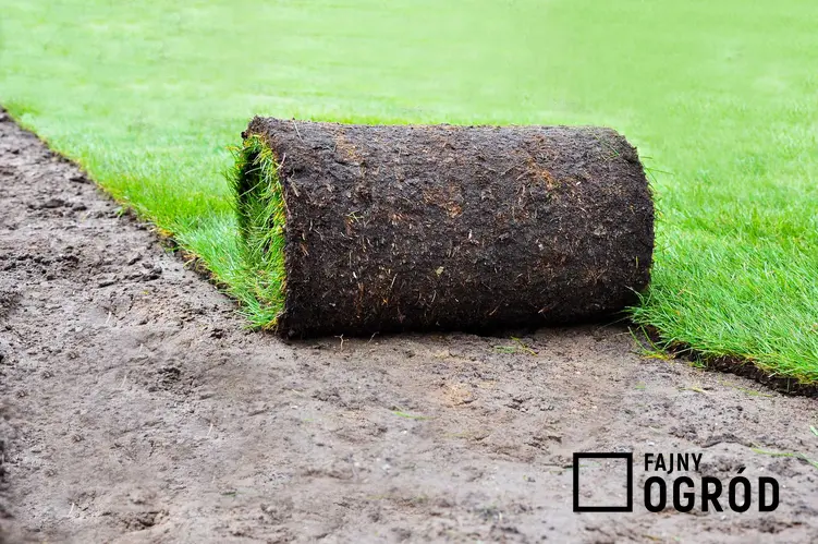 Zakładanie trawnika z rolki powstaje bardzo szybko. Efekt jest natychmiastowy, na dodatek bardzo łatwo jest ją rozłożyć.