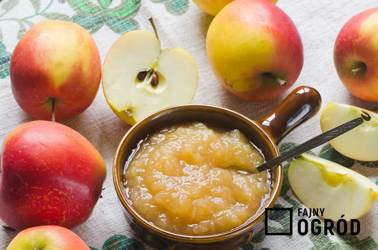 Przetwory z jabłek na zimę – przepisy i pomysły na przygotowanie jabłek