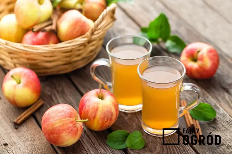 Nalewka z jabłek na wódce to słodki trunek o delikatnym i wyrazistym smaku. Można dodać do niej nieco cynamonu, przepis nie jest trudny, więc nie powinien nastręczać żadnych problemów.