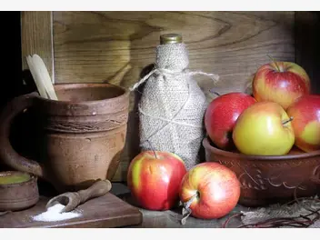 Ilustracja artykułu nalewka z jabłek – najlepsze przepisy na nalewkę jabłkową na spirytusie