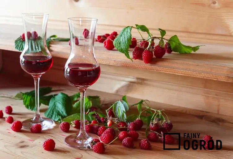 Wino z malin w szklanej butelce i maliny, a także porady, jak zrobić najlepsze wino z malin i sprawdzone przepisy