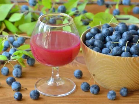 Przepis na domową nalewkę z tarniny