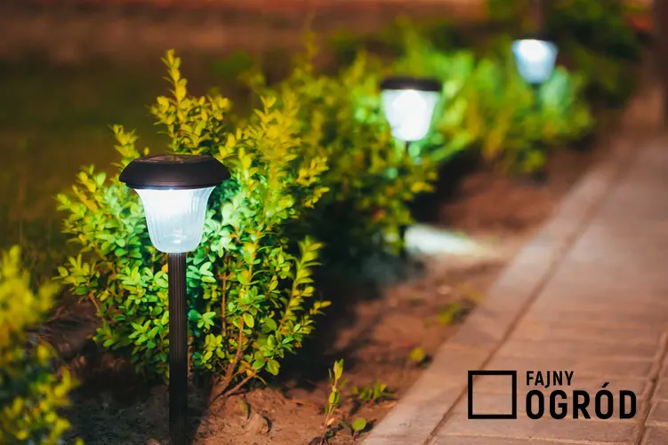 Lampa z czujnikiem ruchu w ogrodzie, a także oświetlenie ogrodu krok po kroku, najważniejsze informajce