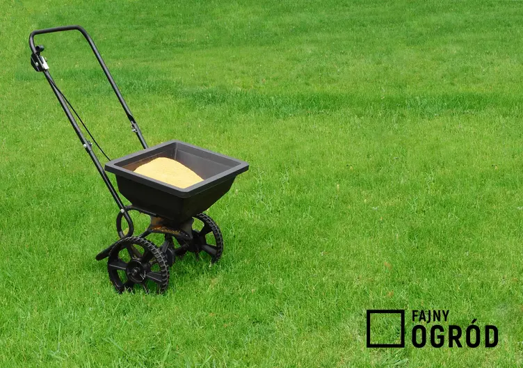 Nawożenie trawnika przy zastosowaniu specjalnego urządzenia oraz porady, czym nawozić trawnik i kiedy najlepiej to robić