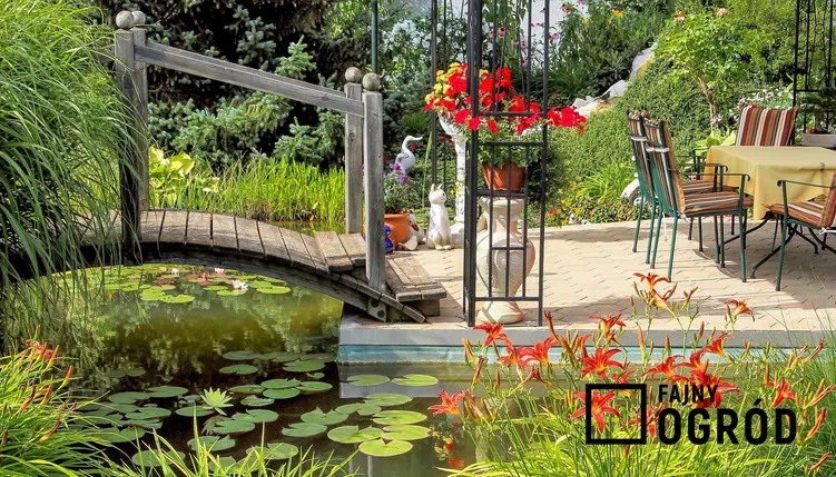 Piękny ogród z oczkiem wodnym i liliami wodnymi. Kwiaty lilie ogrodowe - odmiany i ich warunki uprawy, wymagania, sadzenie, pielęgnacja - porady