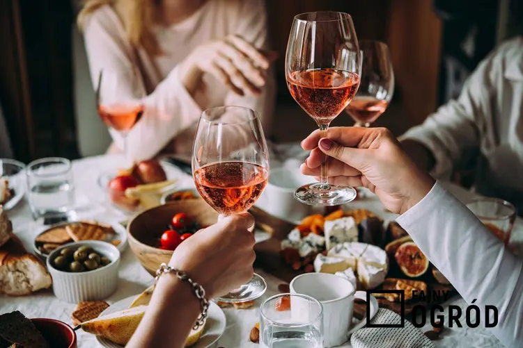 Biesiadnicy przy stole pijący wino z dzikiej róży oraz najlepsze przepisy na wino z róży krok po kroku