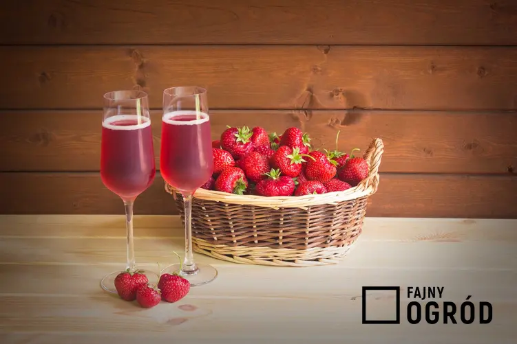 Wino z truskawek w kieliszkach oraz koszyk świeżych truskawek, a także przepis na wino truskawkowe