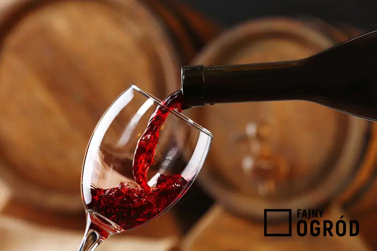Wino z truskawek przelewane do kieliszka na tle drewnianych beczek oraz przepis na wino truskawkowe