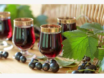 Ilustracja artykułu wino z czarnej porzeczki – sprawdzone przepisy na wino porzeczkowe domowej roboty