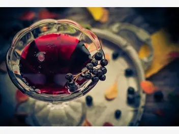 Ilustracja artykułu wino z aronii – przepis na przygotowanie wina aroniowego krok po kroku