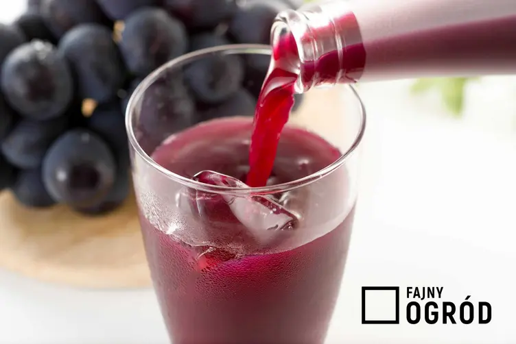 Sok z winogron nalewany do szklanki z lodem oraz sok winogronowy, najlepsze przepisy i właściwości zdrowotne