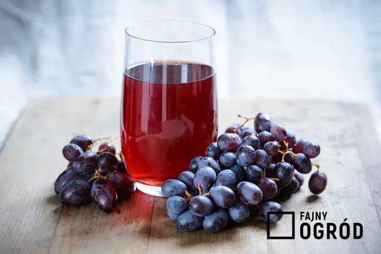 Sok z winogron ciemnych w szklance w towarzystwie owoców oraz sok winogronowy i jego właściwości, najlepsze przepisy na sok