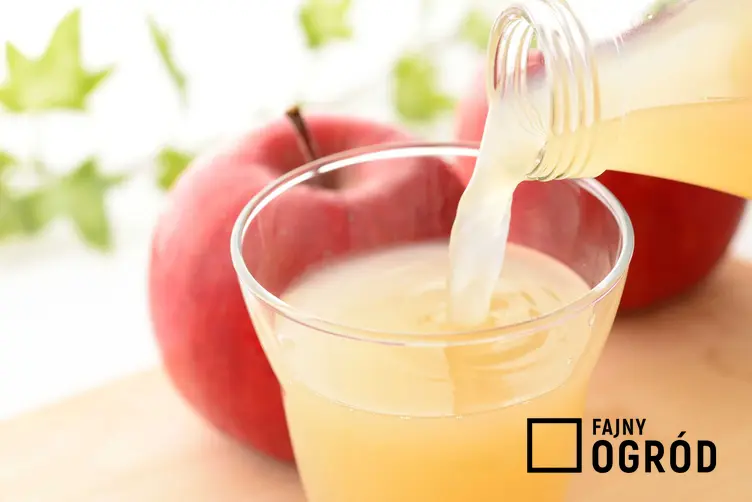 Sok jabłkowy jako świeży sok przelewany z butelki do szklanki oraz wyciskanie soku i jego właściwości