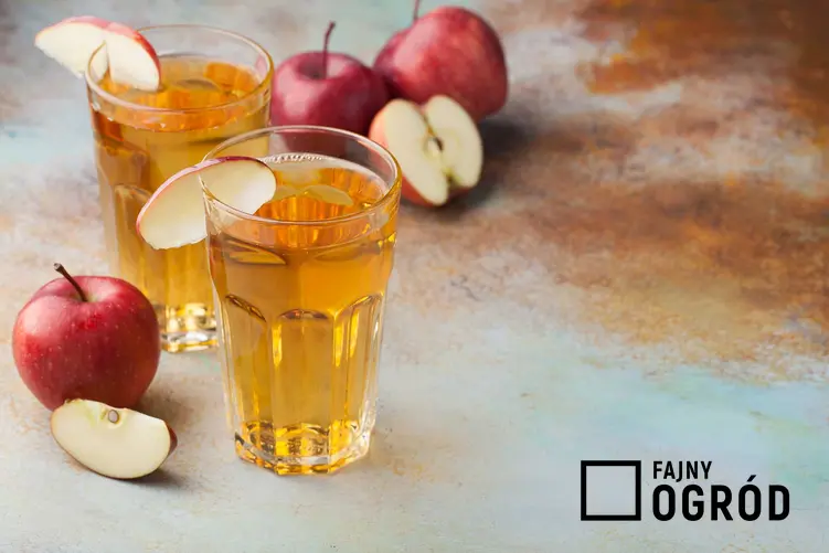 Sok jabłkowy w szklance oraz świeże jabłka, a także jego właściwości i wyciskanie soku z jabłek krok po kroku