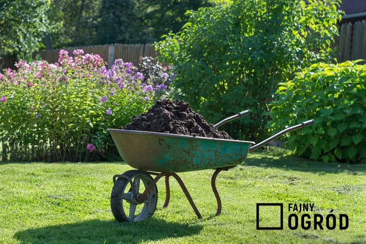 Nawożenie trawnika przy pomocy kompostu oraz polecane nawozy do trawy nie tylko organiczne