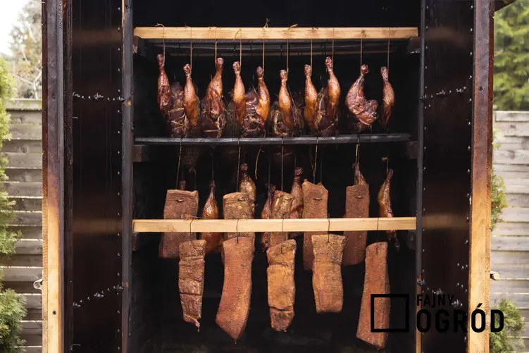Mięsa i szynki podczas wędzenia w wędzarni, a także polecane rodzaje wędzenia i przepis na szynkę wędzoną