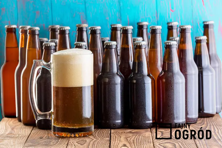 Piwo domowe w kuflu i butelkach oraz porady, jak zrobić piwo w domu i potrzebny zestaw do warzenia piwa