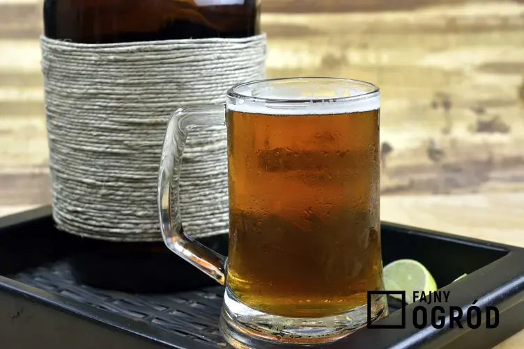 Fermentacja piwa oraz jej efekty, czyli piwo dolnej fermentacji i piwo górnej fermentacji, najlepsze porady i receptury