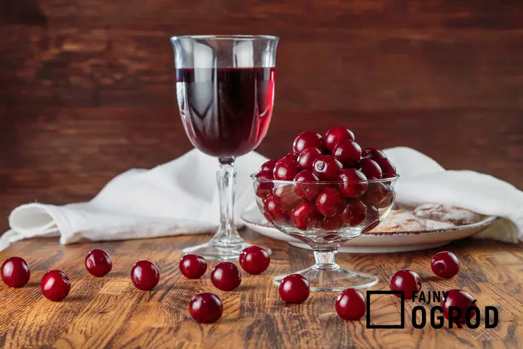 Wino z wiśni w kieliszku oraz świeże wiśnie, a także wino wiśniowe i porady, jak zrobić wino z wiśni