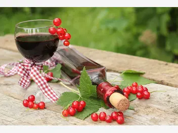 Ilustracja artykułu wino z porzeczek - sprawdzone przepisy na wino z czerwonej porzeczki