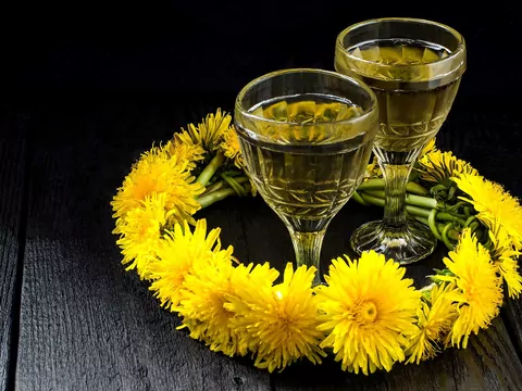 Przepisy na wino z mniszka