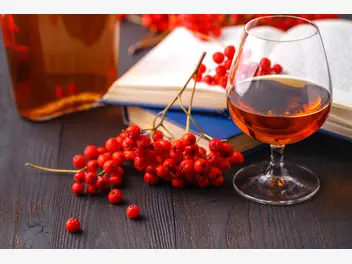 Ilustracja artykułu wino i sok z jarzębiny – przepisy krok po kroku, zastosowanie, właściwości lecznicze