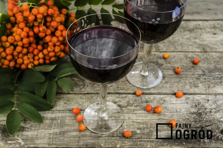 Wino z jarzębiny w kieliszkach i jarzębina czerwona oraz sok z jarzębiny i jego jej właściwości lecznicze oraz przepisy