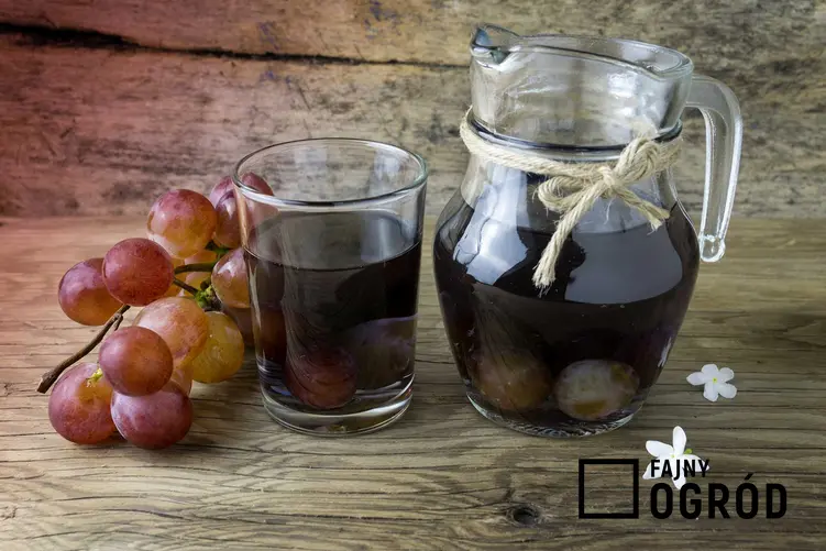 Kompot z winogron w dzbanku oraz domowe sposoby i przepis na kompot z ciemnych winogron oraz przetwory z winogron - porady