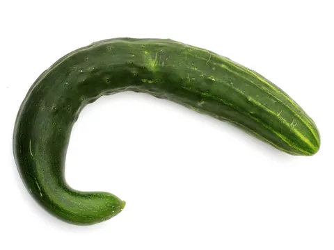 Ogórek wężowy: uprawa i pielęgnacja