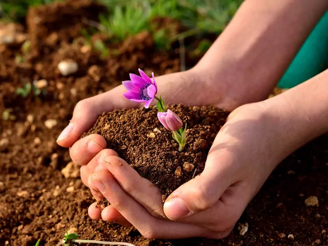 Zagrożenia dla roślin między zimą a wiosną
