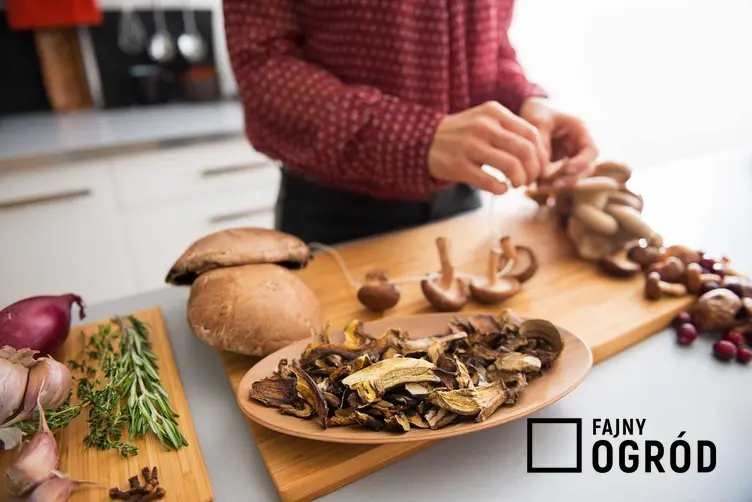 Kobieta obierająca grzyby oraz suszenie grzybów w piekarniku oraz porady, jak wysuszyć grzyby i jak przechowywać suszone grzyby