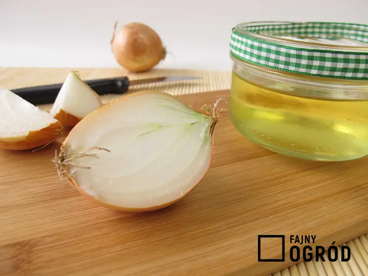 Syrop z cebuli na kaszel podczas przygotowania oraz przepis na syrop z cebuli i miodu dla dziecka i nie tylko
