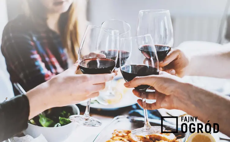 Znajomi przy stole z kieliszkami wina oraz przepis na wino z czeremchy krok po kroku, składniki i wykonanie