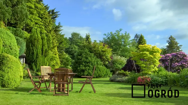 Tanie meble ogrodowe w słonecznym ogrodzie oraz polecane zestawy ogrodowe i tanie meble tarasowe idealne do każdego ogrodu