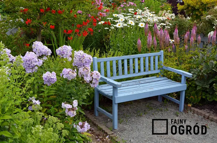 Drewniana ławeczka do ogrodu wśród kwiatów oraz ciekawe projekty i porady jak zrobić ławkę ogrodową - krok po kroku
