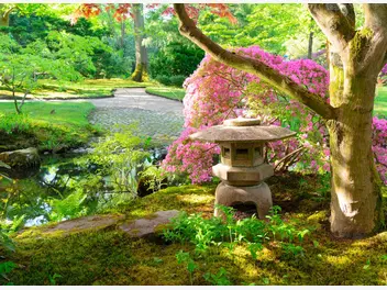 Ilustracja artykułu własny ogród japoński? zobacz, jak go założyć krok po kroku