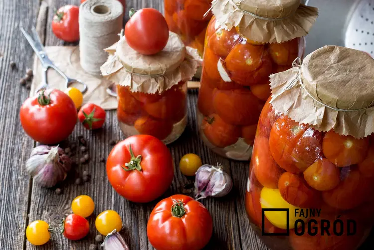 Pomidory na zimę w słoikach w całości oraz przepisy na kiszone pomidory na zimę i inne przetwory z pomidorów
