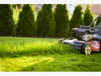 Ilustracja artykułu koszenie trawników krok po kroku - 5 praktycznych porad na strzyżenie trawy