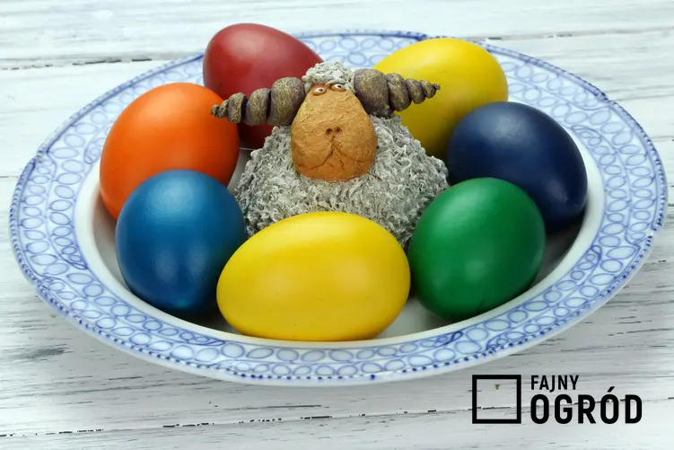 Kolorowe jajka z barankiem, czyli naturalne barwienie jajek i kolorowanie jajek wielkanocnych
