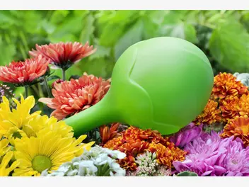 Ilustracja artykułu kule nawadniające do kwiatów - zastosowanie, rodzaje, ceny, porady