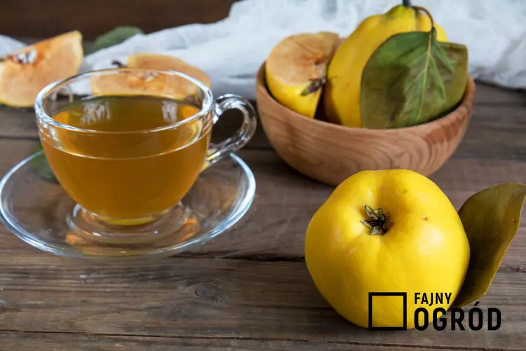 Herbata i owoce pigwy na stole, a także pigwa do herbaty i przepisy